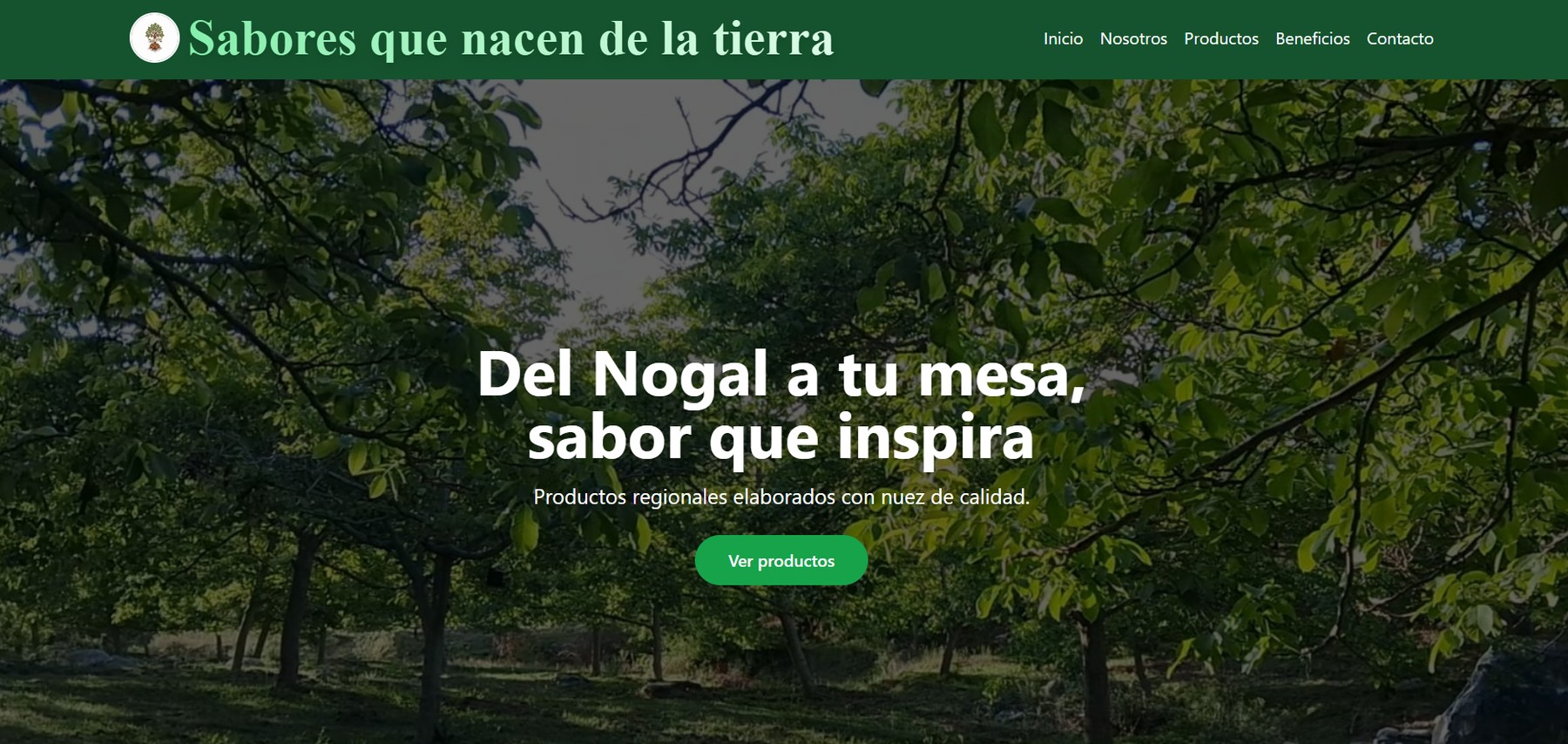 Proyecto Kallpa